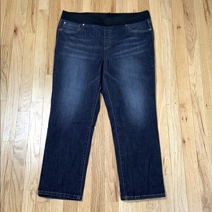 INC women’s jeans regular 14